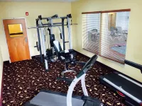 Comfort Inn & Suites Chesapeake - Portsmouth - Gym