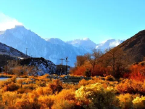 Mount Whitney Motel Hotels in Lone Pine