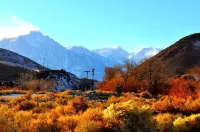 Mount Whitney Motel Hotel a Lone Pine