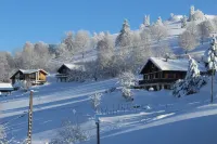 "Racourche 88 "Charming 6-person apartment in La Bresse (Vosges)