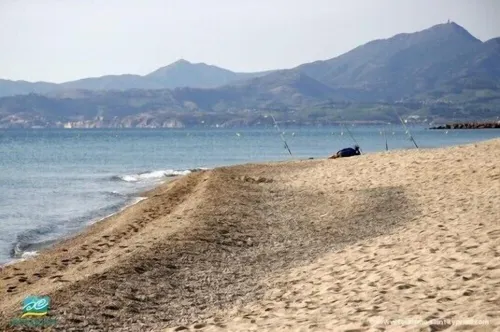 Studio, 4px, great view of the marina, 66750 St Cyprien beach. 250 € week