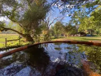 Connect with friends, private river, horses, all natural cedar hot tub