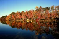 Almost Paradise- Lake Area Rental 1/4 Mile To The Lake And Boat Ramp! Hotels in Trigg County