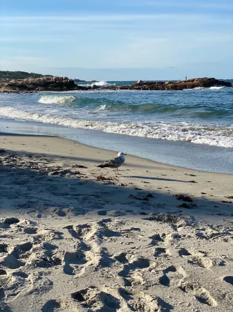 Luxury Minot Oceanfront • Dog Friendly • Hot Tub • 5BR • Families & Groups Отели в г. Сайчуат