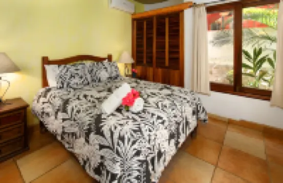 Villas del Rio: 1BR/1BA with dipping pool 1 block from the beach.