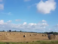 Ferienhof SONDERBYGAARD: cozy dormer apartment for couple or small group. Family