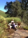 Vineyard FarmStay w/ Heated Pool from May-Oct.
