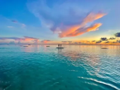 2023 Renovated The Retreat 17 Oceanview ground floor condo steps to ocean/beach