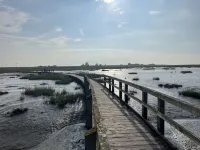 Freshly renovated and quiet vacation apartment on the ground floor in Burhave