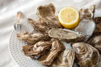 Maison vue mer côte sauvage pointe de la Torche