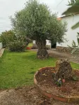 Maison de Campagne au Calme