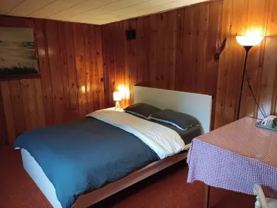 Sunny Big Basement Room with shared  bathroom