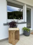 Quiet living in an idyllic location on the beautiful High Rhine - in the Black Forest