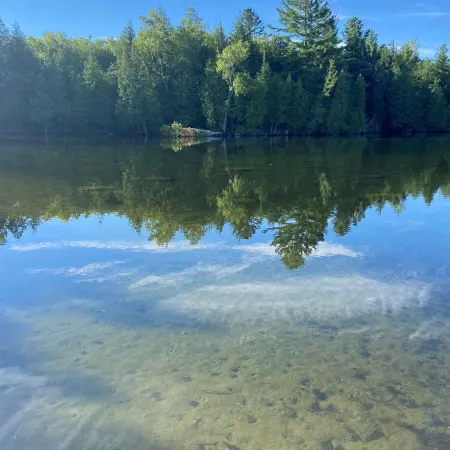Birch Cabin- North Frontenac Lodge