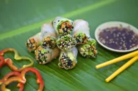 El Sano Banano Beachside Hotel Hotels in Montezuma