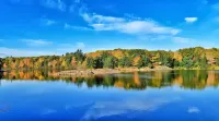 MacIver's Motel and Camp