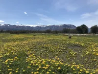 Lago Viedma B&B - 2 estrellas