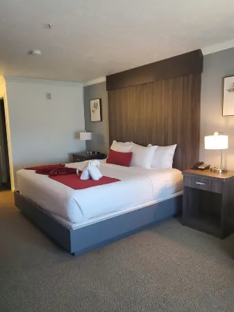 Sequoia Inn Отели в г. Лемор