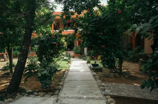 La Casona Hostel Hotels in Puerto Escondido