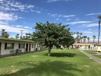Western Sands Motel - Kitchens