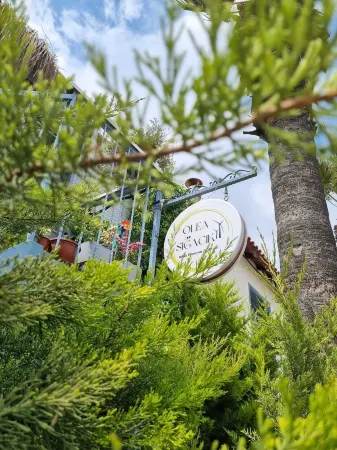 Olea Sığacık Pansiyon & Bistro Отели в г. Sigacik Mahallesi