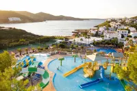 Fergus Club Carema Splash - Beach
