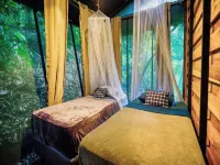 La Shamana - Ecological Concept in Jungle Hotels in Cahuita