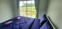Route 323 Cafe & Resort - Mountain view