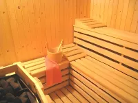 Wellness Penzión Vila Mery - Spa