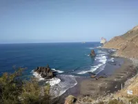 Delicious apartment in Santa Cruz