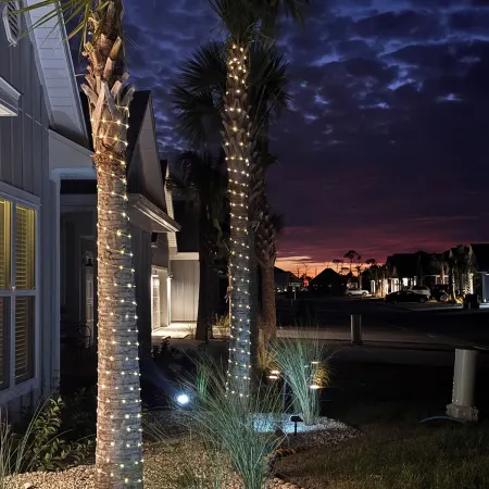 Sun, sand, and seaside: Enjoy nature and the beach life at the Forgotten Coast.