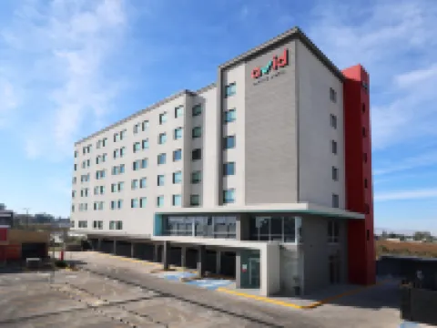 avid hotel Guadalajara Aeropuerto Norte Hoteles en San Pedro Tlaquepaque