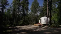Red Owl Retreat-The Nook.