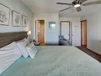 Paradise Palms