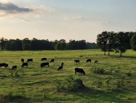 Naturalist Boudoir Lake House, Tiny House On Water 哈丁縣酒店