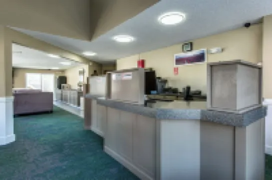 코치맨 인 벨링햄