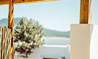 Petunia Ibiza, a Beaumier Hotel