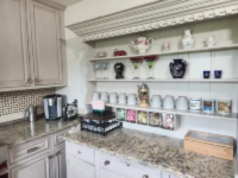 Charming lakefront 3BR 3BA house w/ EV chg in heart of Mt. Dora. Nature abounds.