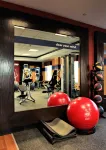 Hampton Inn & Suites Dallas-Lewisville/Vista Ridge Mall - Træningscentre