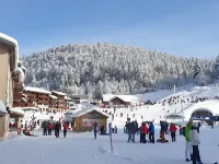 Skis and walks at the rendezvous, the snow is back in the Hautes Vosges Hotels in Cornimont