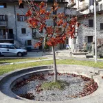 Two-room apartment in the heart of Valmalenco within walking distance of ski lifts Hotels in Chiesa in Valmalenco