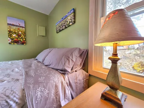 Darling cabin on Lake Huron in the beautiful Les Cheneaux Islands of Cedarville.