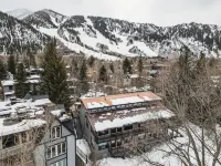 Ajax views and river patio! Newly remolded with King Murphy bed!