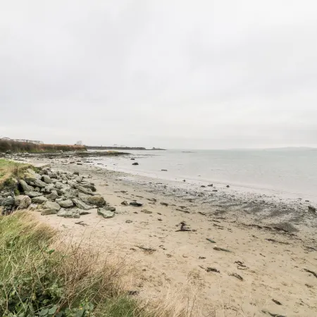 Pentowyn