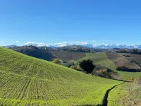 Elegant Country Villa in Cagli Hotels in Cagli