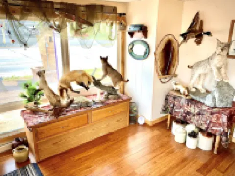 森林湖汽車旅館