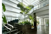 Garbí Costa Luz