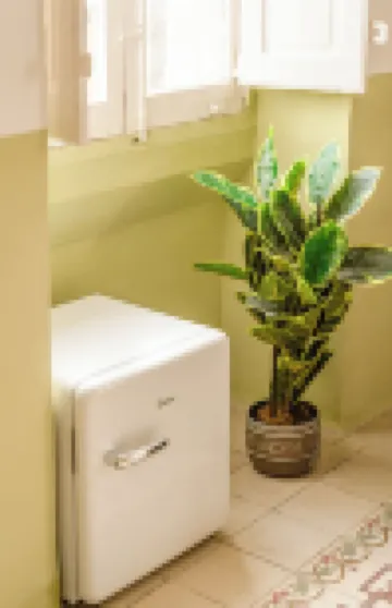 Senglea Jungle Palazzo