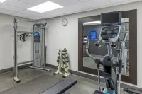 Best Western St. Louis Fairview Heights - Træningscentre