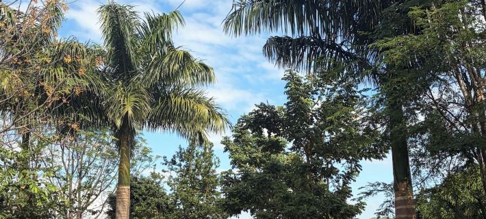 Masili Guesthouse Hotels in Far North